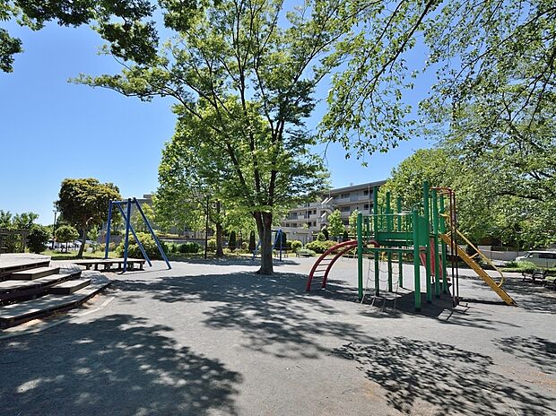 川上新井谷公園 500m 遊具と美しい姿の木々が点在する緑の多い公園。木陰が多いので暑い夏に子供も元気に遊べます。