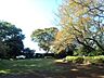 周辺：白幡公園　700m　公園の中には修繕が終わったばかりのログハウスもあります。木のぬくもりを感じながら思いっきり遊べます。 