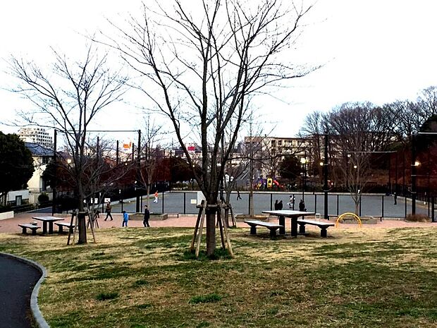 港南台西公園 550m いろいろな子ども用遊具の他、健康遊具やグラウンドもあり施設も充実しています。