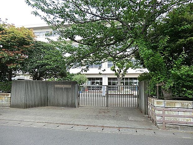 鎌倉市立七里ガ浜小学校 1200m 徒歩18分。子育て世代に優しい落ち着いた住環境。