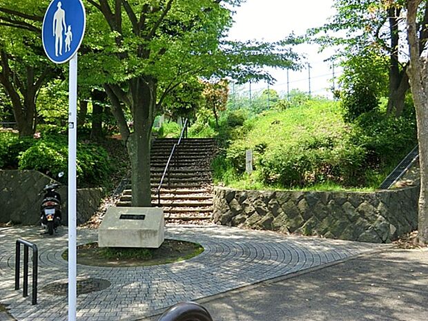 能見台北公園 270m 多目的広場やテニスコートがあります。里山風の斜面林のある公園で、木陰をを散歩するのもおすすめ。