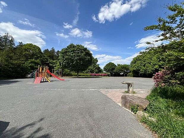 瀬谷貉窪公園 1100m 樹林の中に遊歩道が設置されており、四季折々の自然を楽しめる公園。