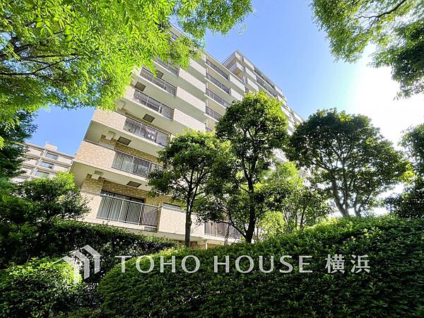 表現された空間は豊かな光と風を纏い、暮らしの時間を豊かにしてくれます。