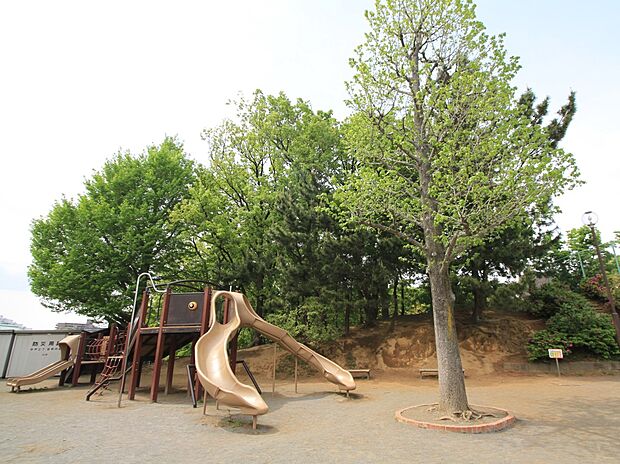三王山公園 250m お子様が走り回れる広場や遊具、深く涼しげな森林に囲まれた小広場などがあります。