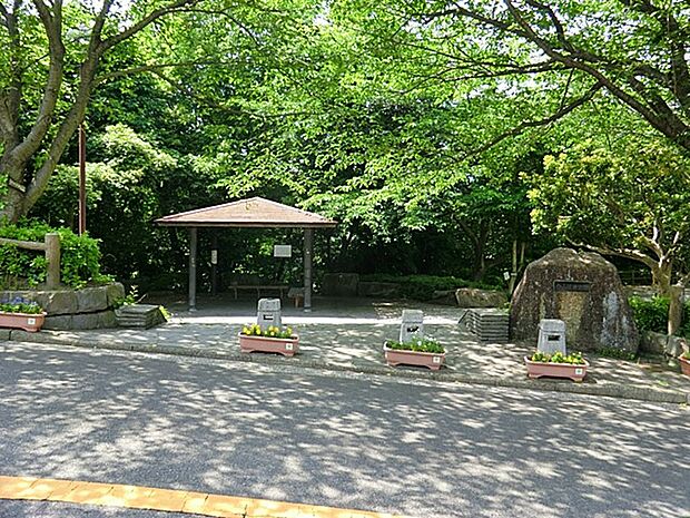 白山道奥公園 1000m 小さな広場と階段、滑り台、ブランコのある縦長の公園です。