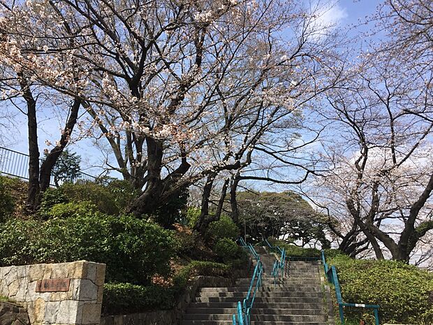 掃部山公園 300m 遊具が設置された広場や、池を配した和風庭園、横浜能楽堂が建てられています。
