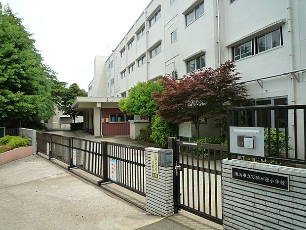 横浜市立万騎が原小学校　400m　徒歩5分。小学校が近いのは子育てファミリーにもおすすめのポイントです。 