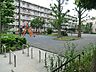 周辺：矢向五丁目公園　650m　住宅街の十分な広さの公園です。公園の設備には水飲み・手洗い場があります。 