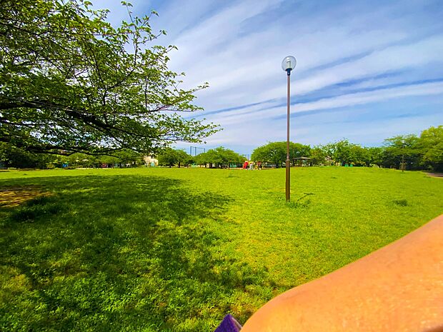 桜川公園　400m　小さなお子様用のかわいらしい遊具、ちょっと大きめの大型遊具などがある桜がきれいな公園です。 