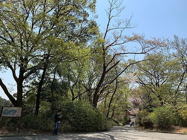 弘明寺公園 300m 春には桜が咲き誇ります。すべり台などの遊具のある広場もあるのでお子様連れで楽しめる公園です。
