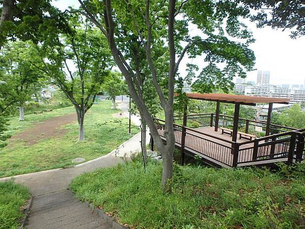 秋葉台公園 1000m 高台にあり桜の名所として知られています。夜は夜景が綺麗に見られます。