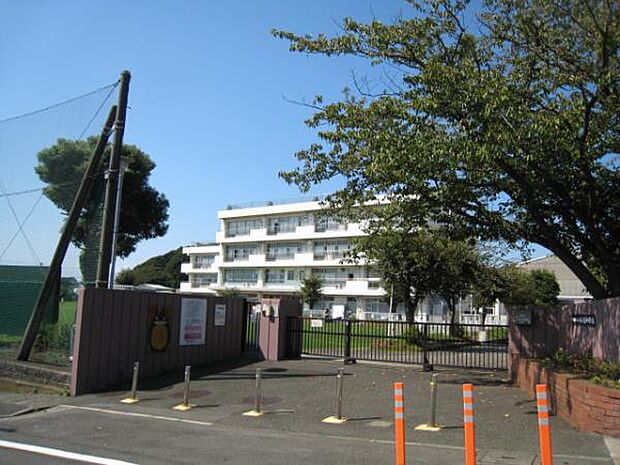 横浜市立小山台小学校　1000m　徒歩13分。小学校が近いのは子育てファミリーにもおすすめのポイント。 
