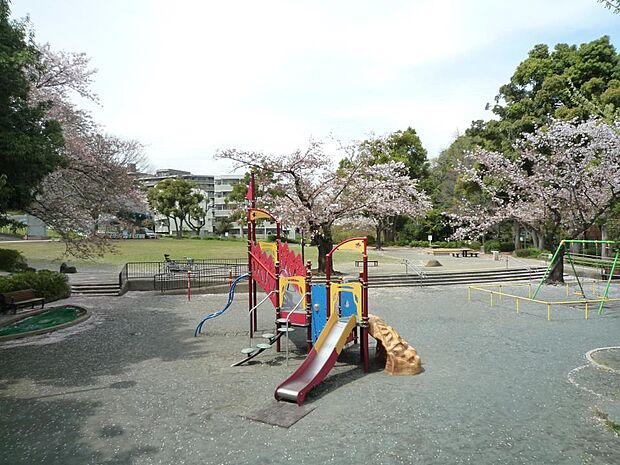 白根公園 550m 横浜市でも珍しい自然の滝のある公園。放課後は子供たちのにぎやかな声が響きます。