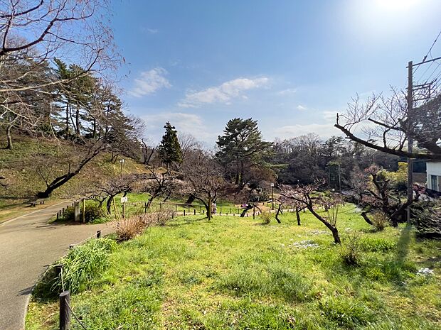 大倉山公園 300m 梅の名所として知られている公園。桜や新緑など、四季折々の違った彩りを楽しめる公園です。