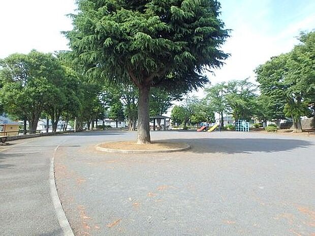 金が谷公園　350m　ジャングルジム・滑り台・ブランコなどの遊具をはじめ、ボール遊びができる広場もあります。 