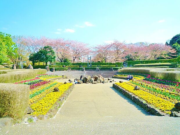四季の森公園 300m 噴水・花壇、展望台、ジャンボすべり台、じゃぶじゃぶ池などのレクリエ-ション施設が点在する県立公園。