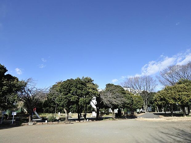 子安台公園　450m　高台の閑静な住宅地に広がる緑豊かな公園。昼間は近隣の子どもたちで賑わいます。 