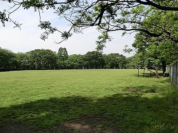 鶴間公園　1600m　豊かな自然の中に大型遊具、芝生広場、スポーツ施設があり、子どもから大人まで楽しめます。