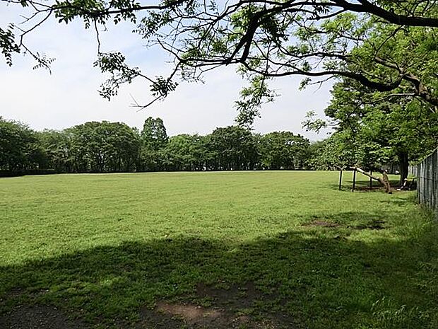 鶴間公園 1600m 豊かな自然の中に大型遊具、芝生広場、スポーツ施設があり、子どもから大人まで楽しめます。