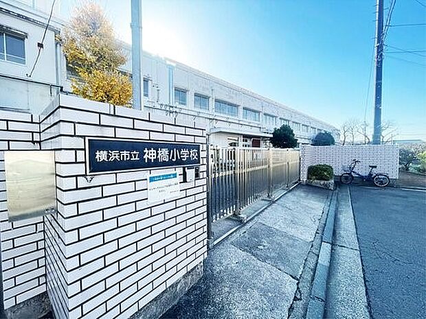 横浜市立神橋小学校 650m 徒歩9分。小学校が近いのは子育てファミリーにもおすすめのポイント。