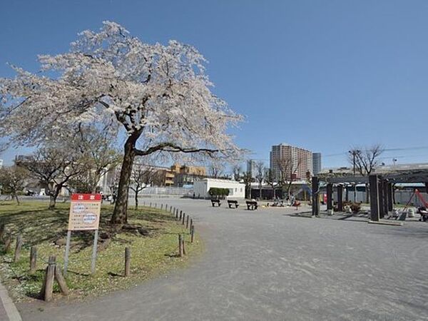 岡野公園　650m　野球場、プールから遊具は幼児も遊べるものまでそろっている、子供たちは退屈することのない場所です。