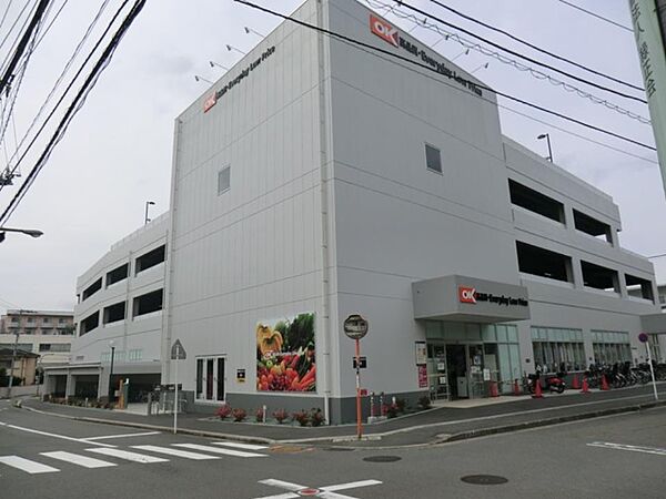 オーケー新子安店　600m　関東圏を中心にコスパの良い商品を取り扱うと話題のお店。週末にまとめ買いもいいですね。