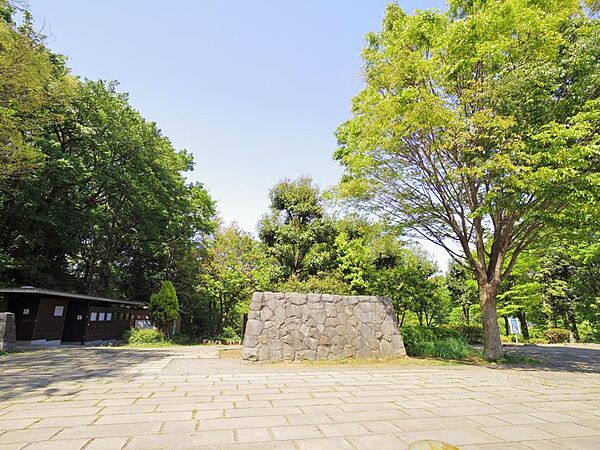 茅ケ崎公園　450m　「芝生広場」「池・せせらぎ」「樹林地」「自然生態園」というそれぞれ特色のあるエリアの公園です。