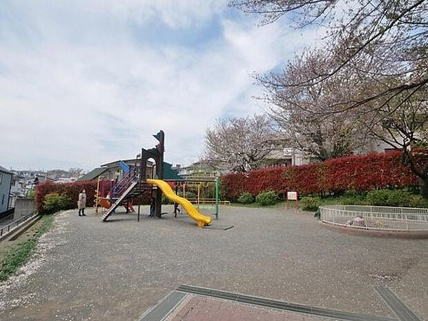 芹が谷一丁目公園　750m　晴れた日には富士山まで望める。色とりどりの草花で四季の移ろいも感じられる住民の憩いの場です。 