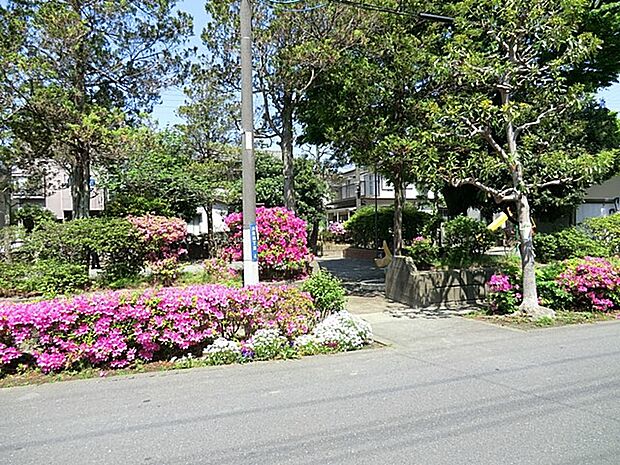 栄町公園　80m　大きな広場の他、滑り台などの複合遊具やジャングルジム、鉄棒、大きなお砂場など様々な遊びが楽しめます。 