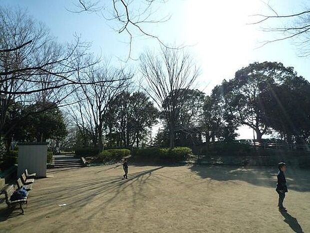 たちばな台公園 180m 住宅街の中にある見晴らしの良い公園。広場や丘はお子様が遊ぶのにピッタリ。