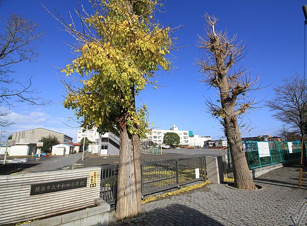 横浜市立中和田小学校 600m 徒歩8分。小学校が近いのは子育てファミリーにもおすすめのポイント。