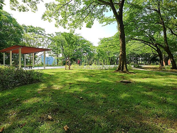 泉中央公園 900m 自然の森の中にある広場で、ブランコやすべり台、アスレチックなどの遊具があります。お散歩にも最適。