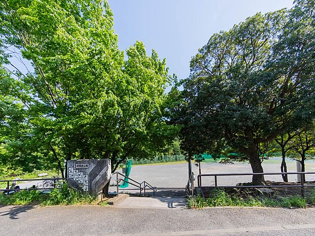 緑園東公園 1200m 広く平らな敷地がサッカーや野球などの球技に適し、スポーツチームが利用することも多い公園。