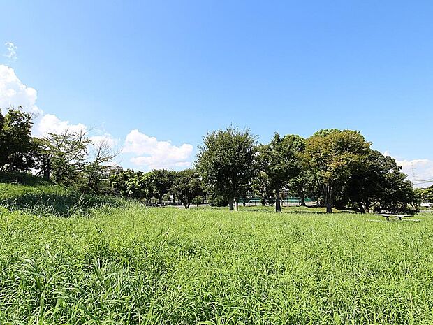 洋光台南公園　1100m　野球場や芝生公園・遊具公園・プール・テニスコートなどと多目的に利用できるスポーツ公園です。   