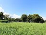周辺：洋光台南公園　1100m　野球場や芝生公園・遊具公園・プール・テニスコートなどと多目的に利用できるスポーツ公園です。   