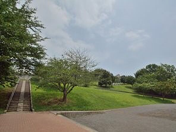 芹が谷一丁目公園　450m　晴れた日には富士山まで望める。色とりどりの草花で四季の移ろいも感じられる住民の憩いの場です。