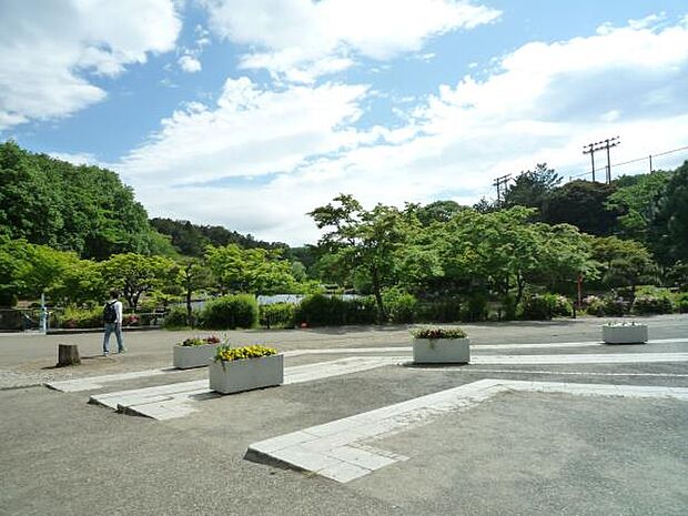 こども自然公園 1700m 春には桜のきれいな大池公園。アスレチックやふれあい動物園もあります。