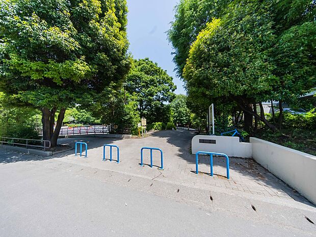 下田町四丁目公園 500m 下田小学校校庭と「松の川緑道」に面する緑豊かな公園。