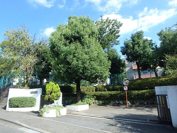 横浜市立もえぎ野中学校 1800m 徒歩23分。中学生の体力づくりにはぴったりの距離かもしれませんね。