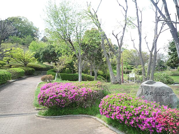 今井の丘公園 900m 周囲を緑に囲まれた公園。広い広場もあります。お散歩で心も体もリフレッシュ。
