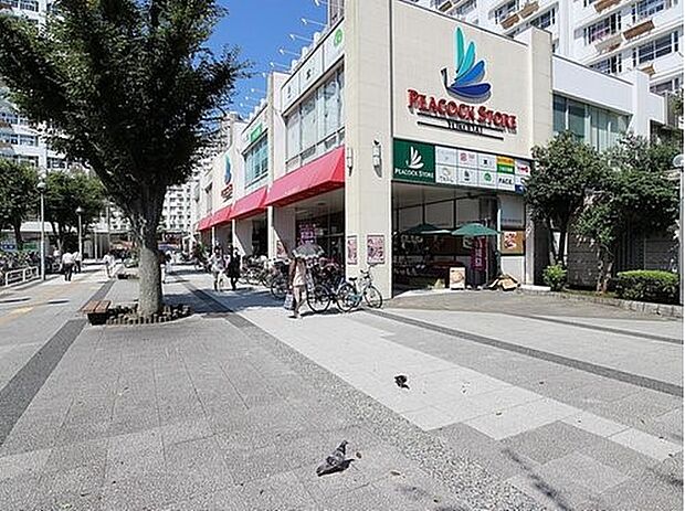 ピーコックストア洋光台店 600m 洋光台駅から徒歩約1分なので、お仕事帰りのお買い物に便利です。お帰りが遅い日も助かりますね。