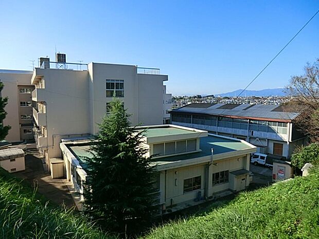 横浜市立市ヶ尾小学校 800m 徒歩10分。小学校が近いのは子育てファミリーにもおすすめのポイントです。