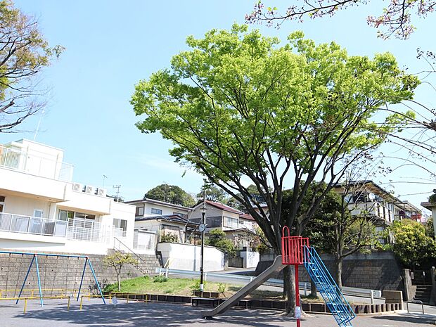 秋葉第三公園 750m 小さなお子様も安心して遊べる砂場やブランコなど、遊具が揃っています。
