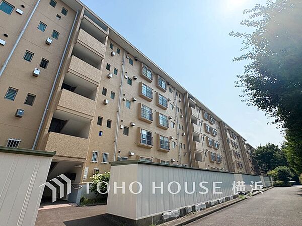 青空を背景に更なる美しさを醸す佇まい。