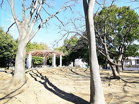 日限山公園　400m　緑いっぱいで癒される公園。遊具も揃っているので、小さなお子様も楽しく遊べます。   
