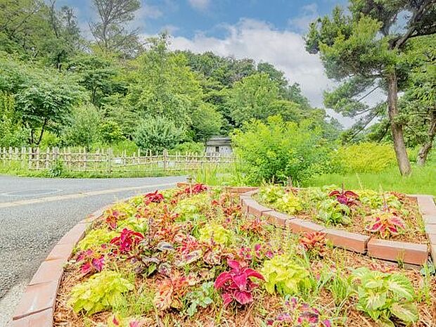 三ツ池公園 60m 池や森のある広大な敷地にプール、テニスコートなどの施設が点在する県立公園。お花見の名所。