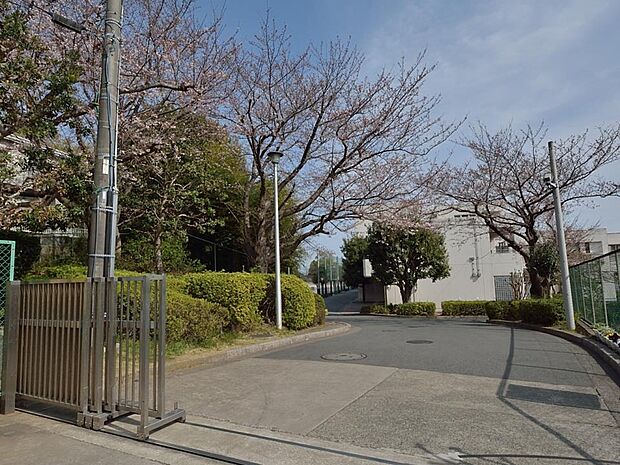 横浜市立秋葉小学校　1000m　徒歩13分。小学校が近いのは子育てファミリーにもおすすめのポイント。 