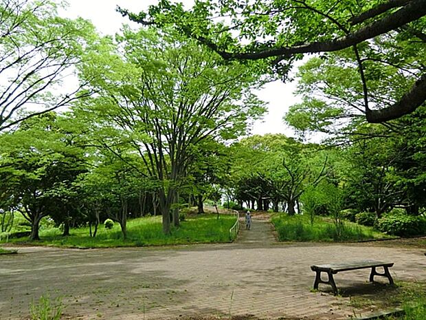 洋光台西公園 700m 地域の公園愛護会の皆さんが育てた120本以上の梅の木があり毎年2月に「梅の里まつり」が開催されます。