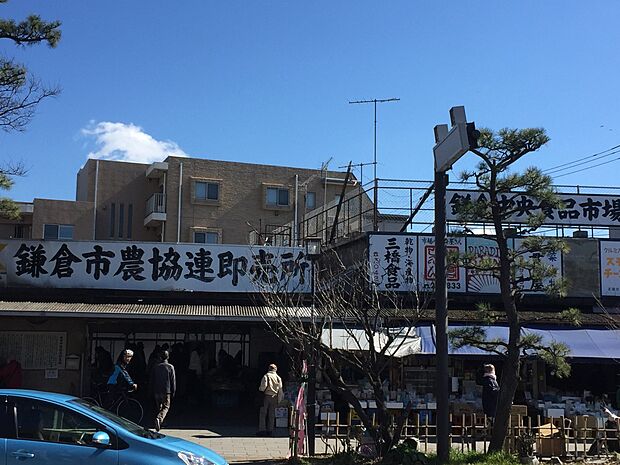 鎌倉中央食品市場　1500m　鎌倉野菜、食堂もあり、美味しいと有名なシフォンケーキや人気のスモークチーズの直売所もあります。 
