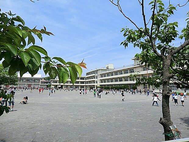 鎌倉市立第一小学校　1600m　徒歩20分。子育て世代に優しい落ち着いた住環境。 
